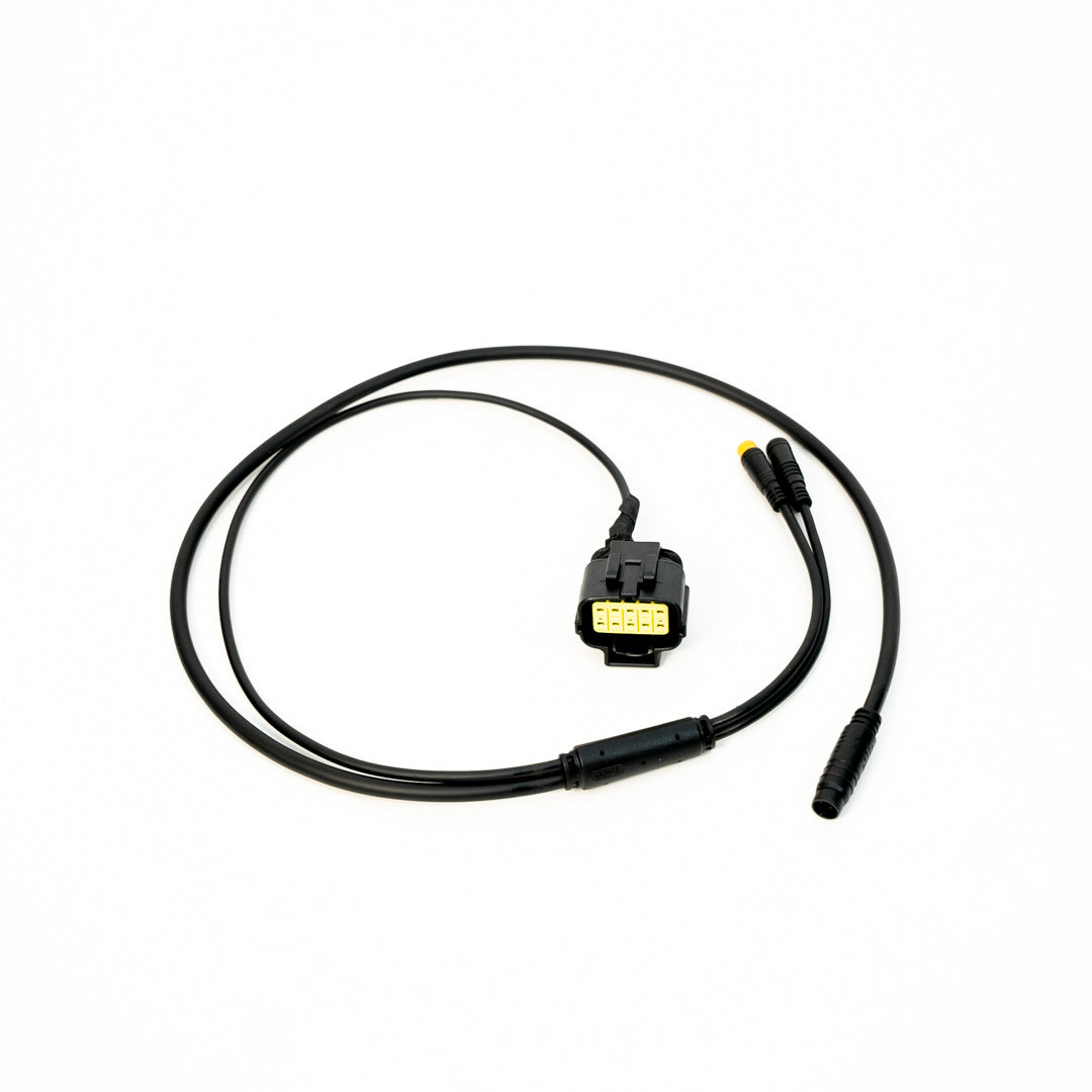 EBMX X-9000 Ultra Bee Stock Display Harness - V2